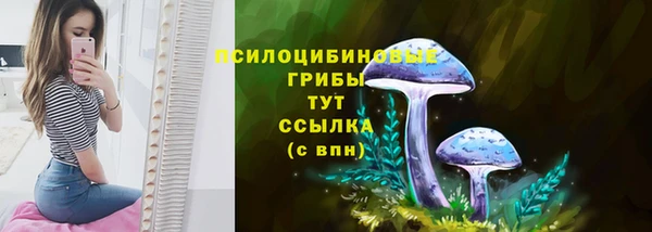 mix Зеленокумск